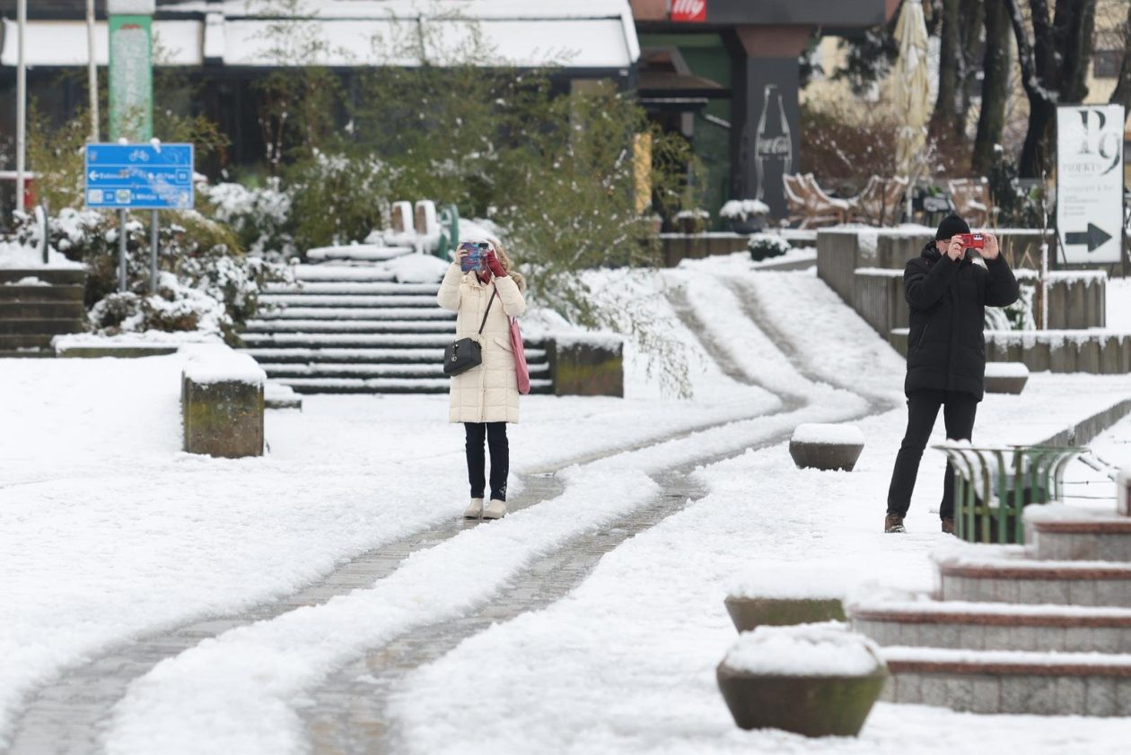 PXL_030126_144167793 PXL_030126_144167793