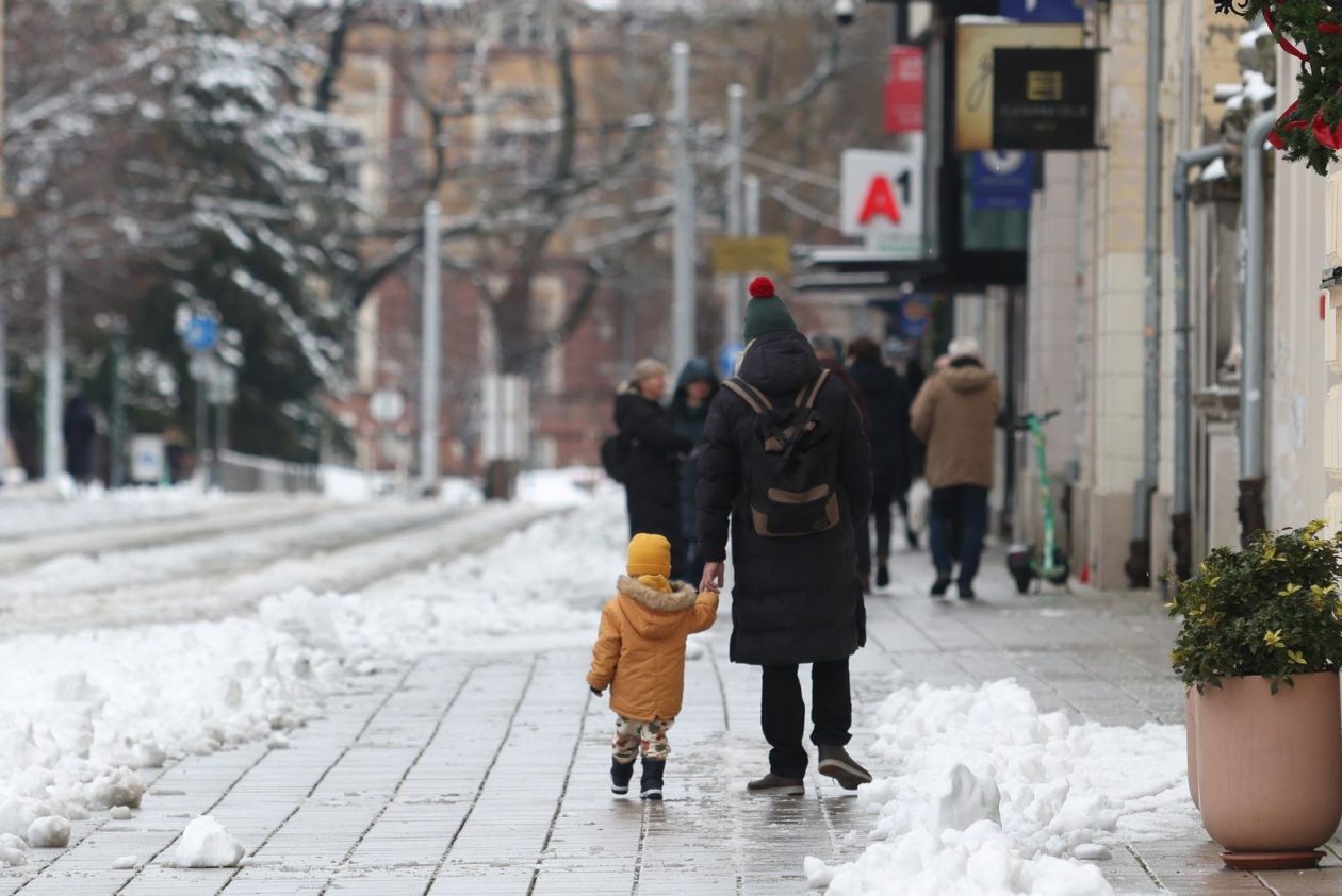 PXL_030126_144167797 PXL_030126_144167797