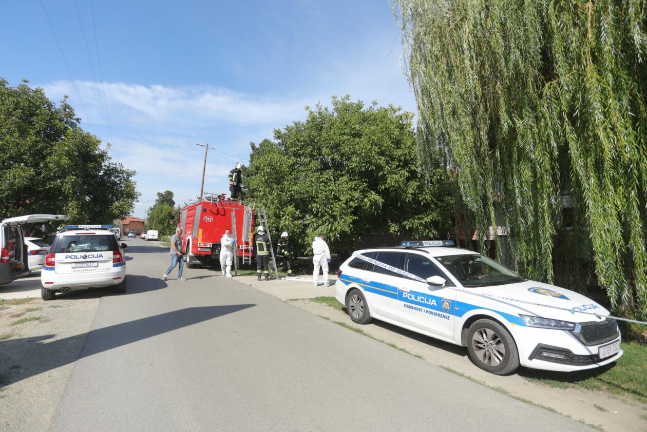 ubojstvo tenja ubojstvo tenja