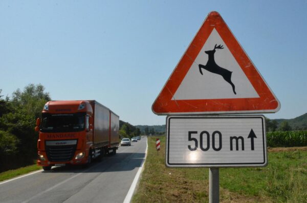 divljač na cesti prometni znak
