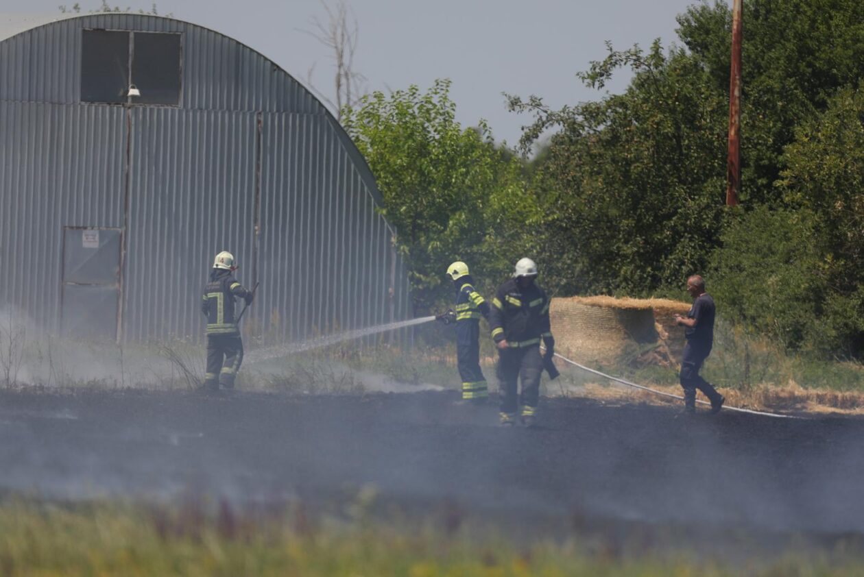 Vatrogasci gase požar pšenice