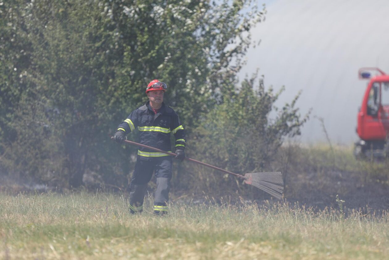 Vatrogasci gase požar pšenice