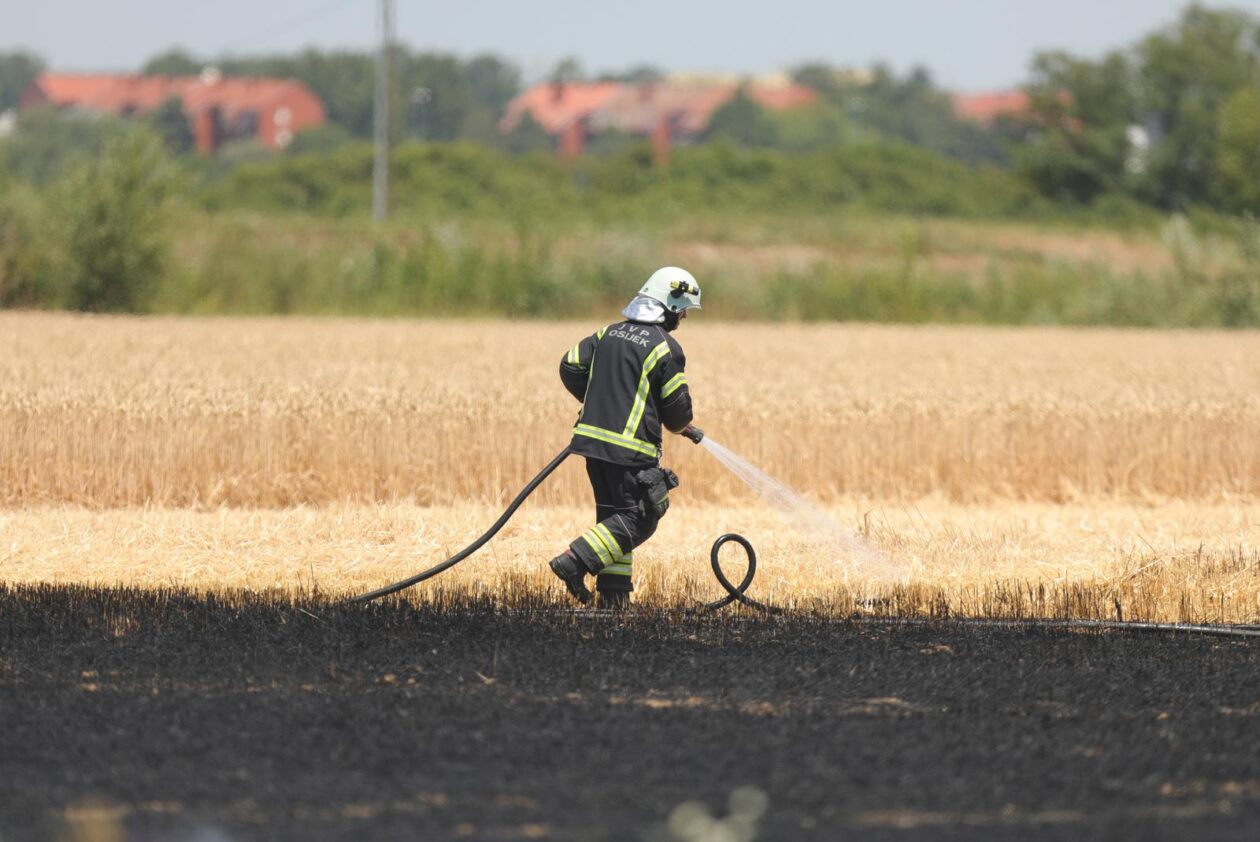 Vatrogasci gase požar pšenice