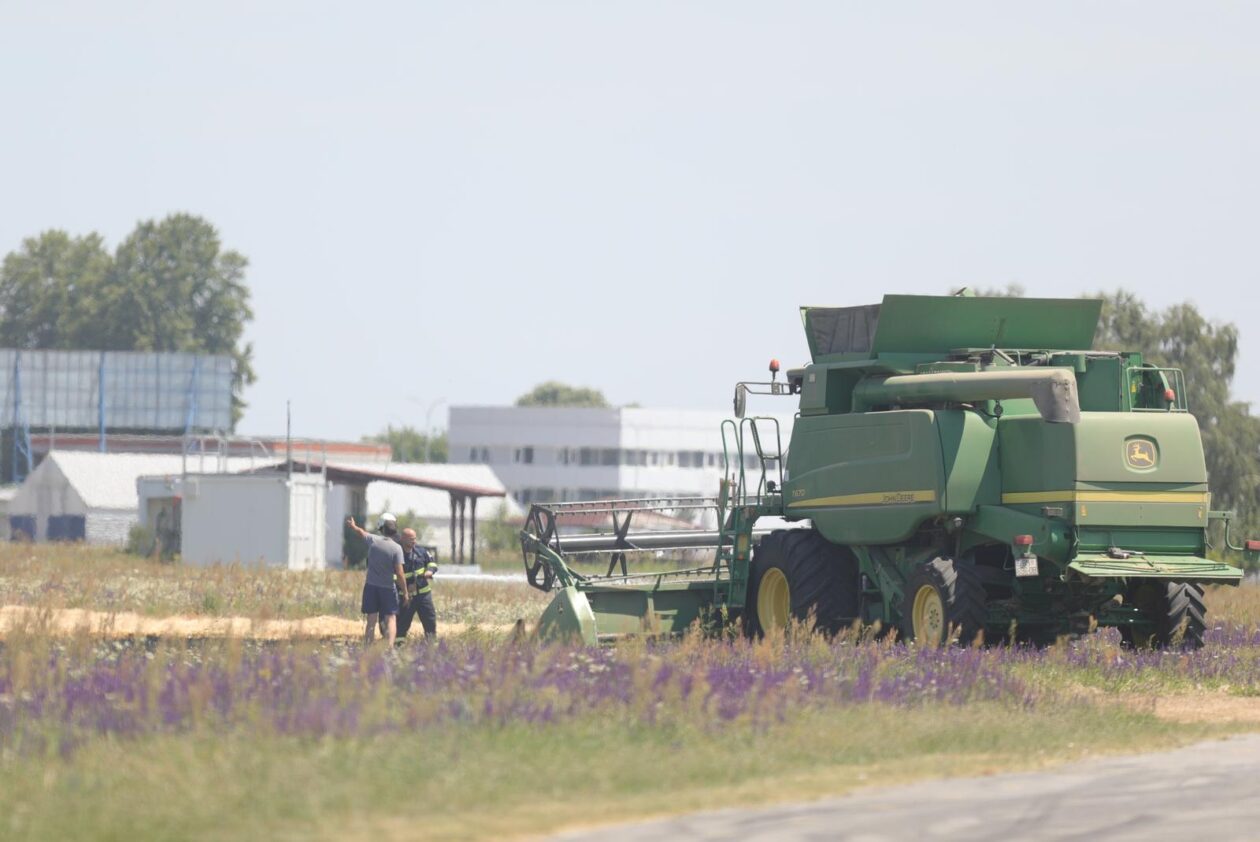 Vatrogasci gase požar pšenice