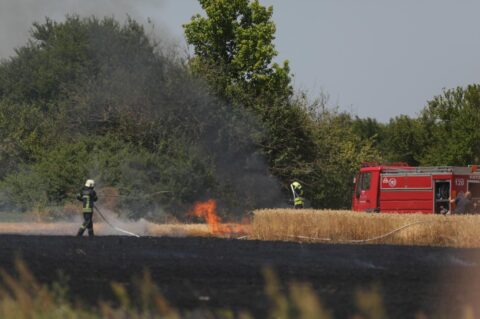 Vatrogasci gase požar pšenice