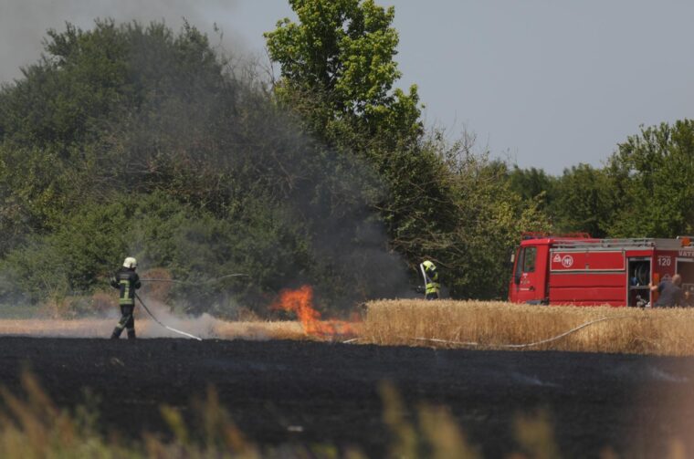 Vatrogasci gase požar pšenice