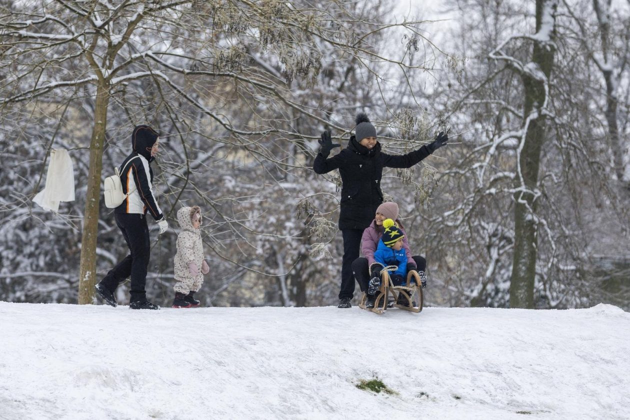 Sanjkanje u Drvenparku 2026.