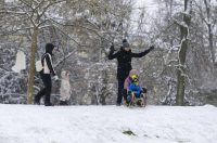 Sanjkanje u Drvenparku 2026.