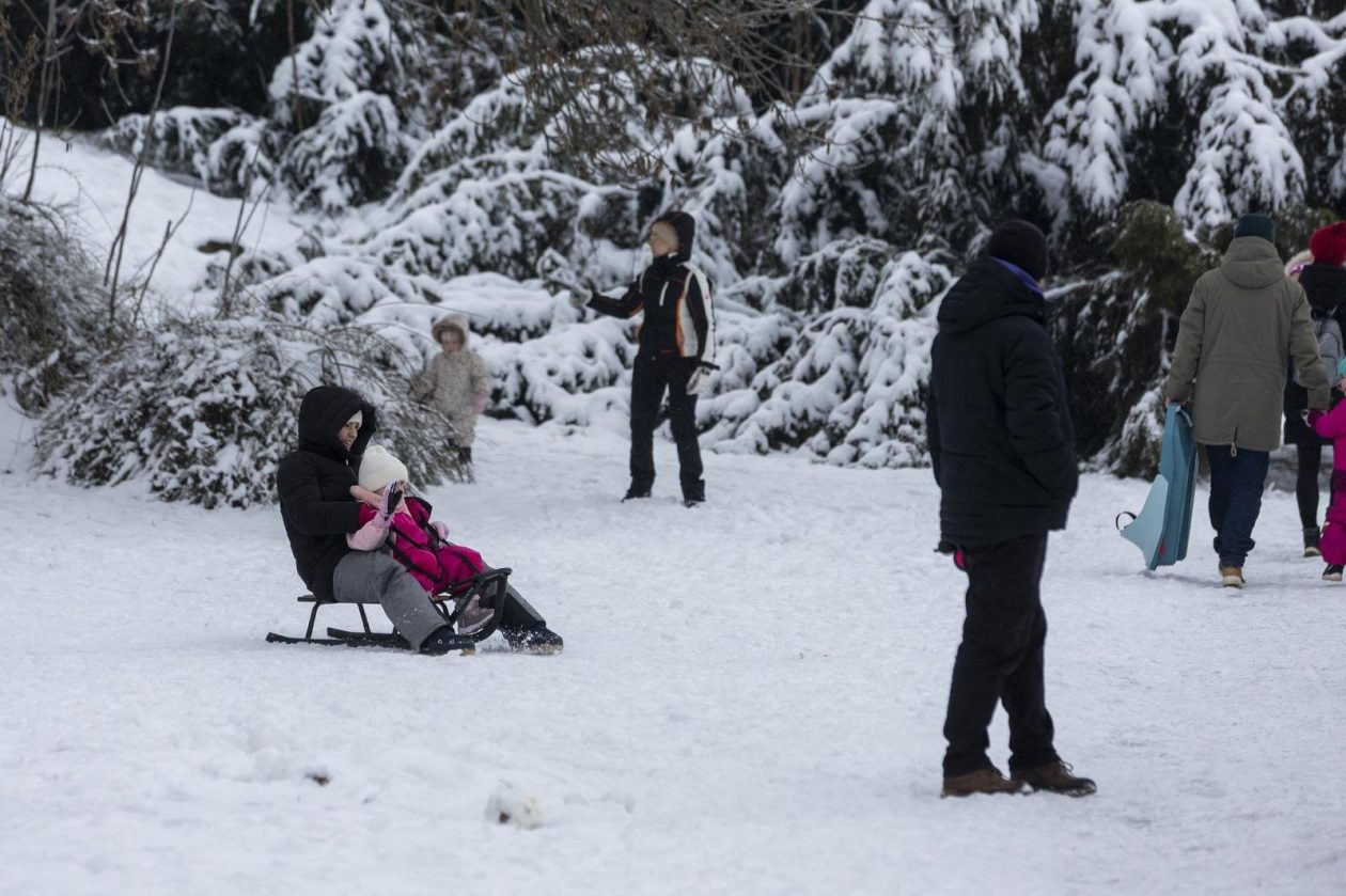 Sanjkanje u Drvenparku 2026.