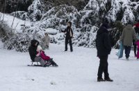 Sanjkanje u Drvenparku 2026.