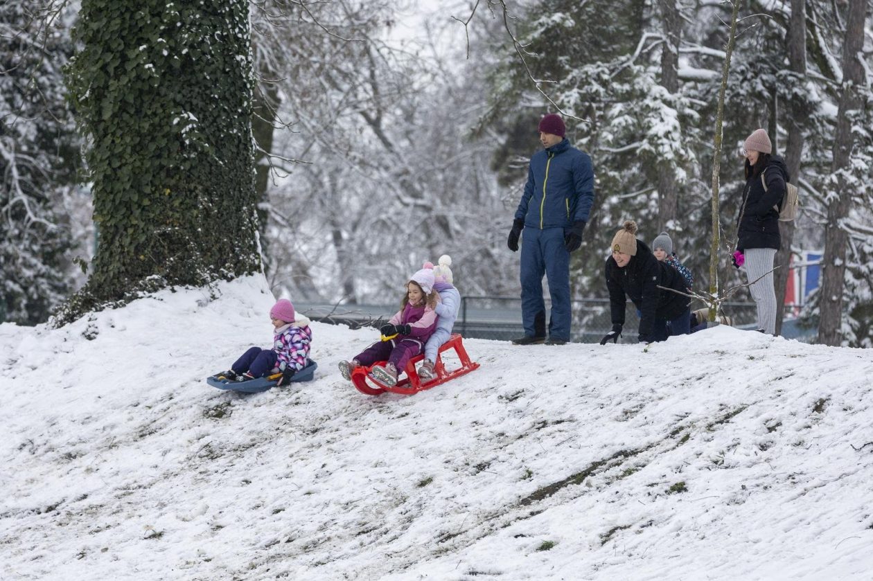 Sanjkanje u Drvenparku 2026.
