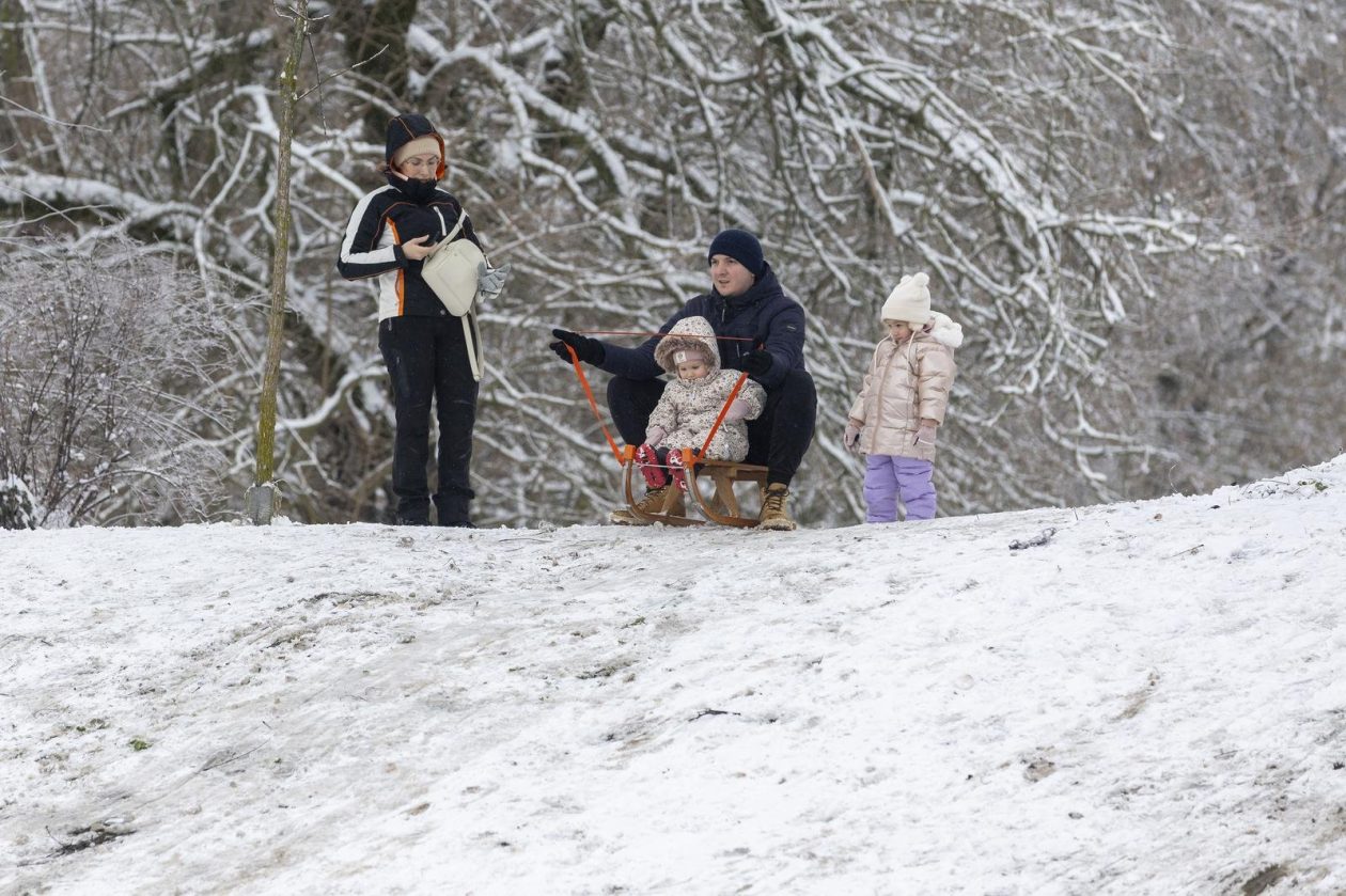 Sanjkanje u Drvenparku 2026.
