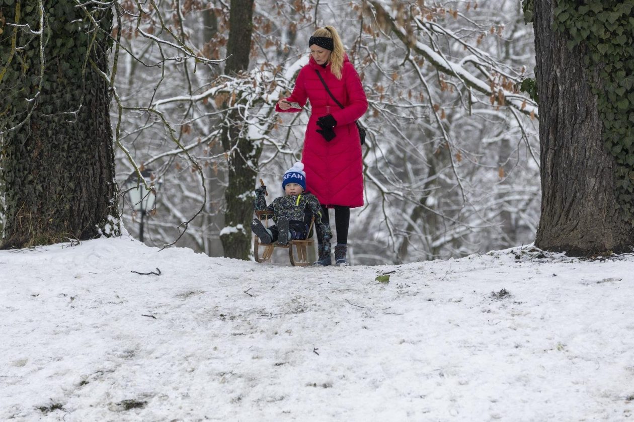 Sanjkanje u Drvenparku 2026.