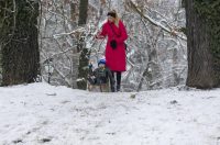 Sanjkanje u Drvenparku 2026.