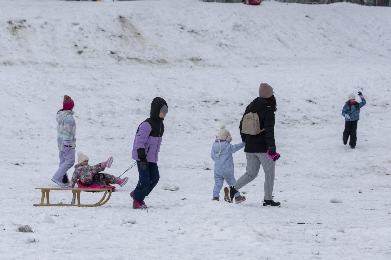 Sanjkanje u Drvenparku 2026.