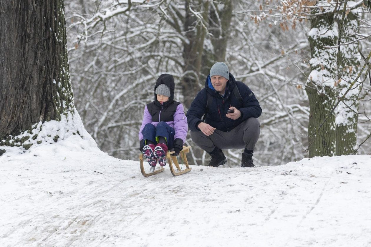 Sanjkanje u Drvenparku 2026.