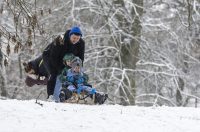 Sanjkanje u Drvenparku 2026.