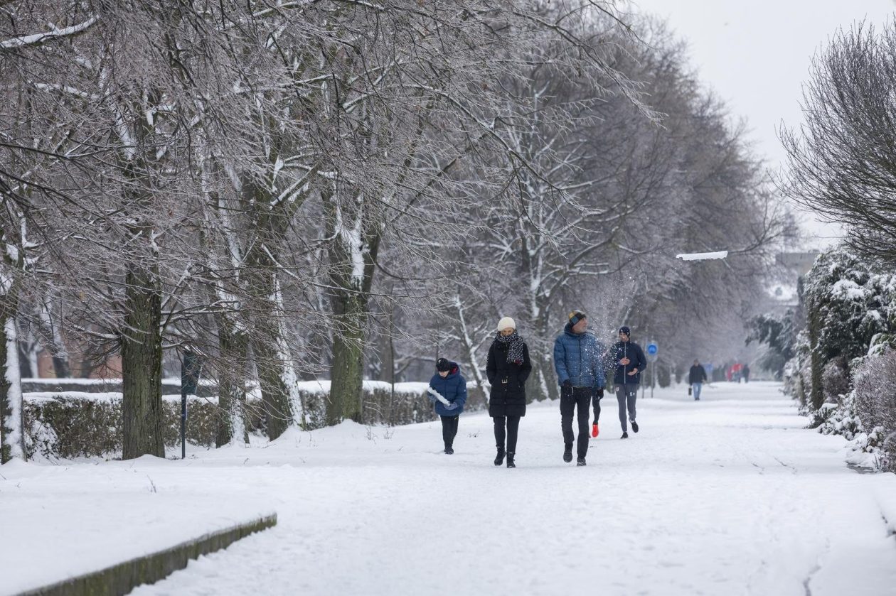 Sanjkanje u Drvenparku 2026.