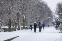 Sanjkanje u Drvenparku 2026.