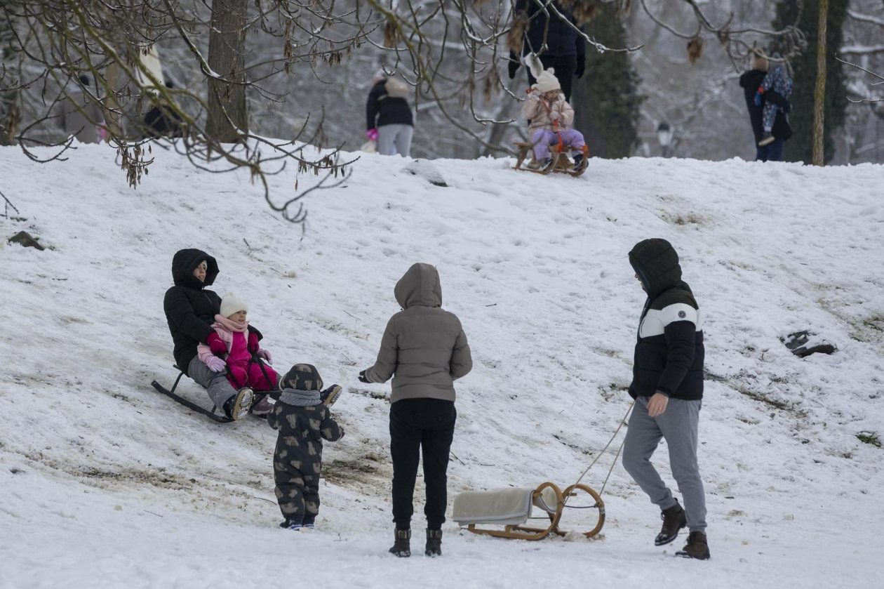 Sanjkanje u Drvenparku 2026.