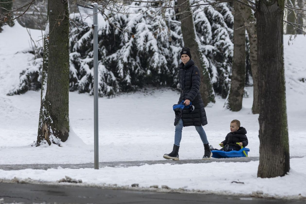 Sanjkanje u Drvenparku 2026.