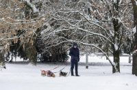 Sanjkanje u Drvenparku 2026.