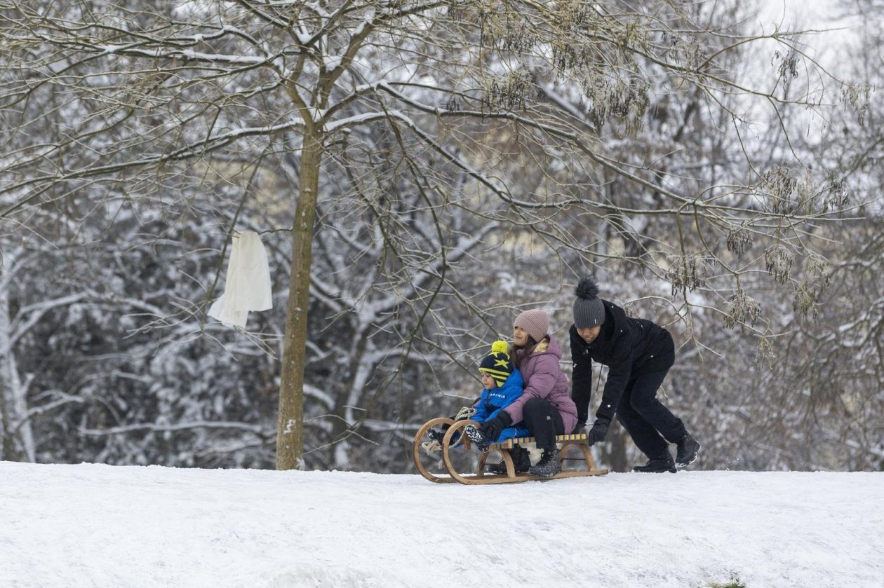 Sanjkanje u Drvenparku 2026.