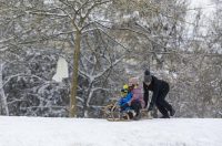 Sanjkanje u Drvenparku 2026.