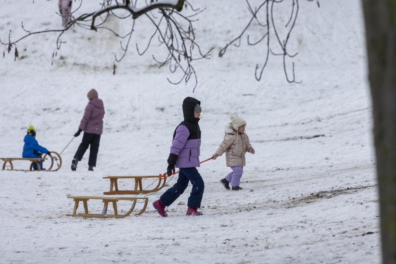 Sanjkanje u Drvenparku 2026.
