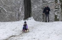 Sanjkanje u Drvenparku 2026.