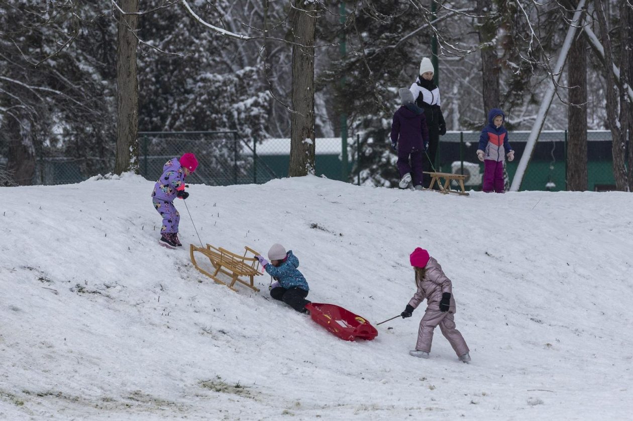 Sanjkanje u Drvenparku 2026.