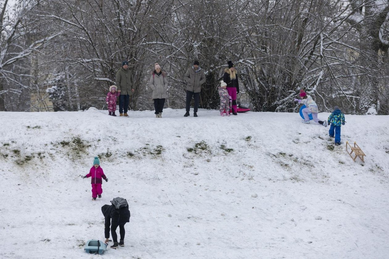 Sanjkanje u Drvenparku 2026.