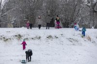 Sanjkanje u Drvenparku 2026.