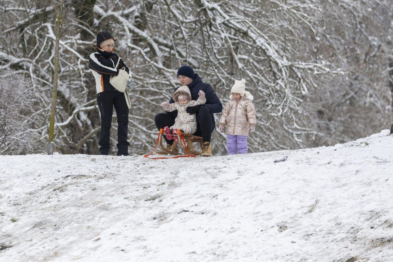 Sanjkanje u Drvenparku 2026.