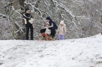 Sanjkanje u Drvenparku 2026.