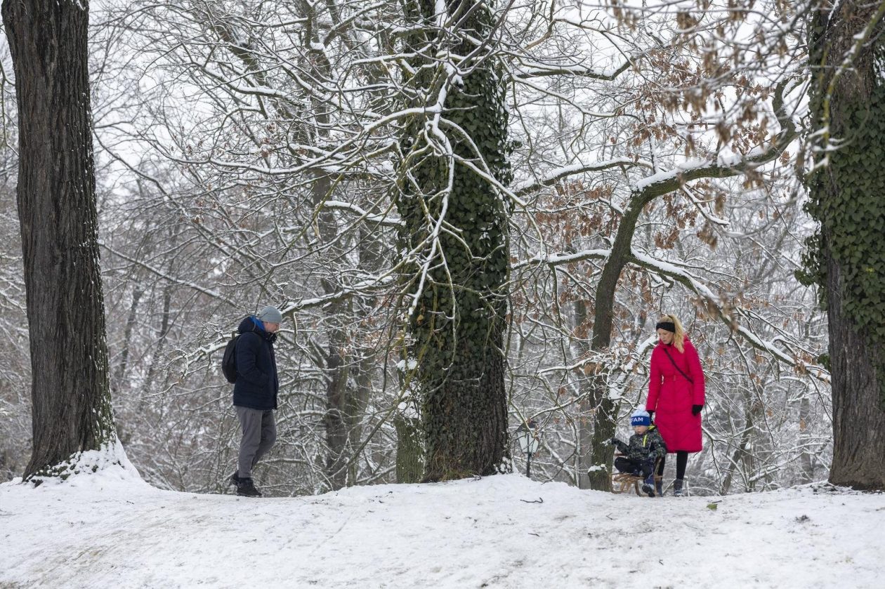 Sanjkanje u Drvenparku 2026.