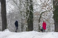 Sanjkanje u Drvenparku 2026.