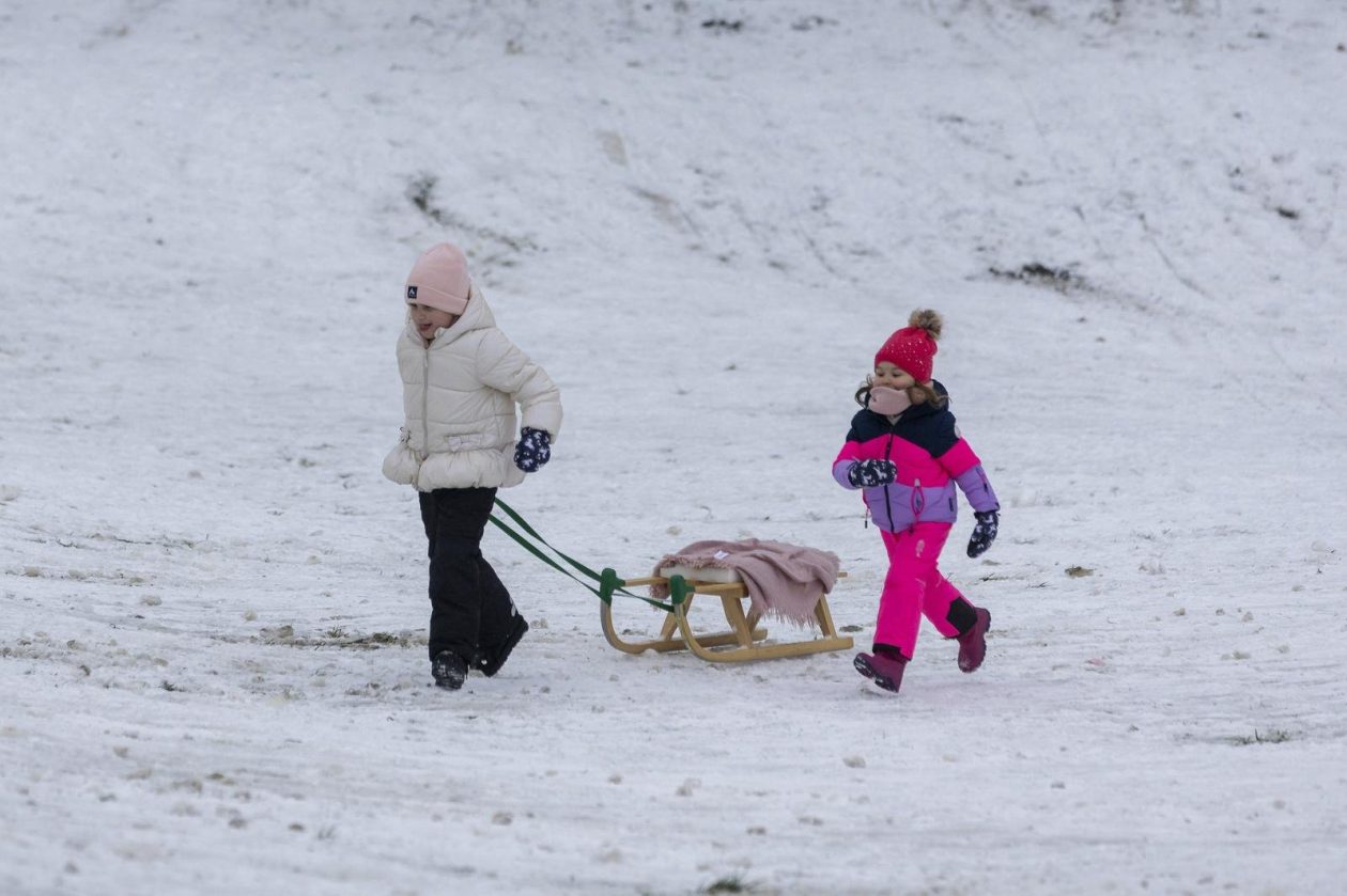 Sanjkanje u Drvenparku 2026.