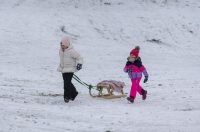 Sanjkanje u Drvenparku 2026.