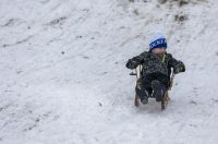 Sanjkanje u Drvenparku 2026.