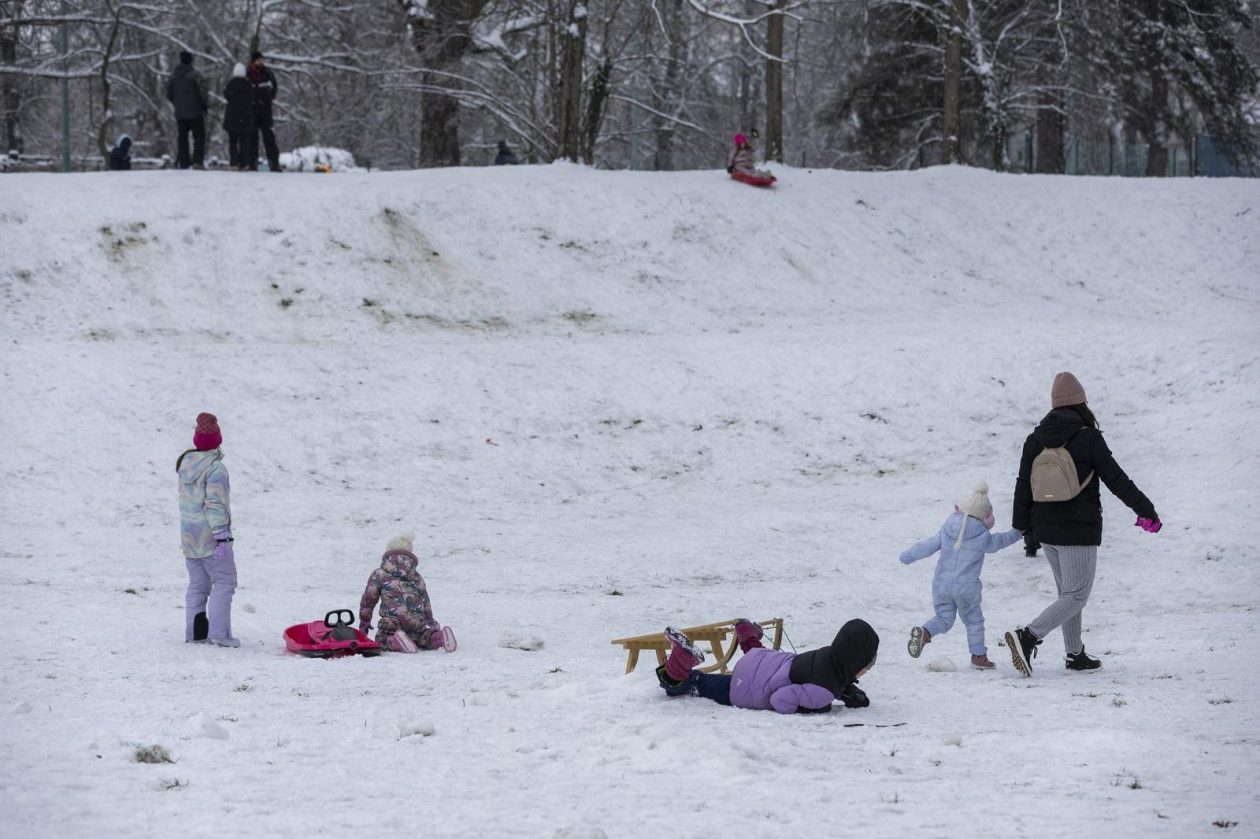 Sanjkanje u Drvenparku 2026.