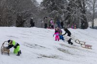 Sanjkanje u Drvenparku 2026.