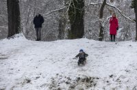 Sanjkanje u Drvenparku 2026.