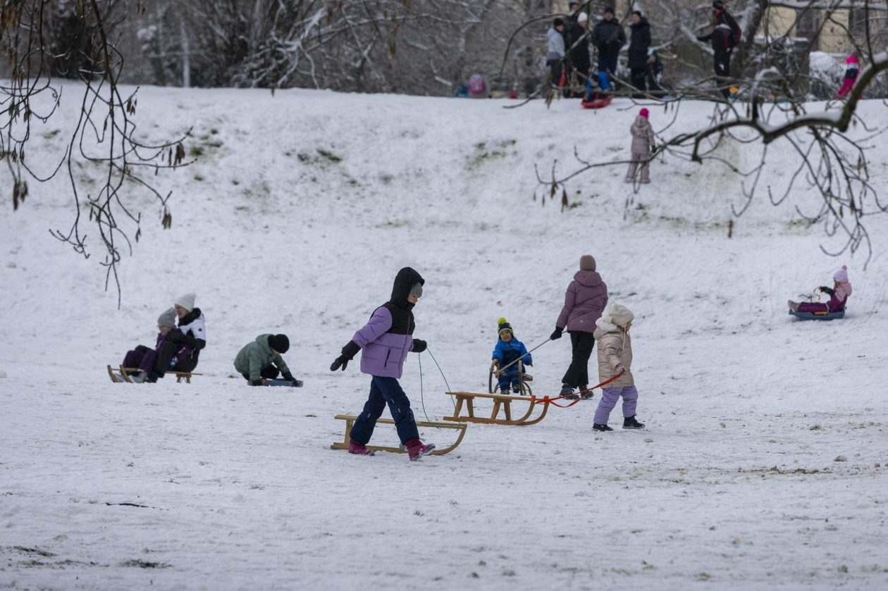 Sanjkanje u Drvenparku 2026.