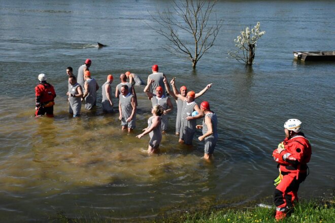 Davor: Opatijski kukali po prvi puta u Slavoniji na kupanju u rijeci Savi Davor: Opatijski kukali po prvi puta u Slavoniji na kupanju u rijeci Savi