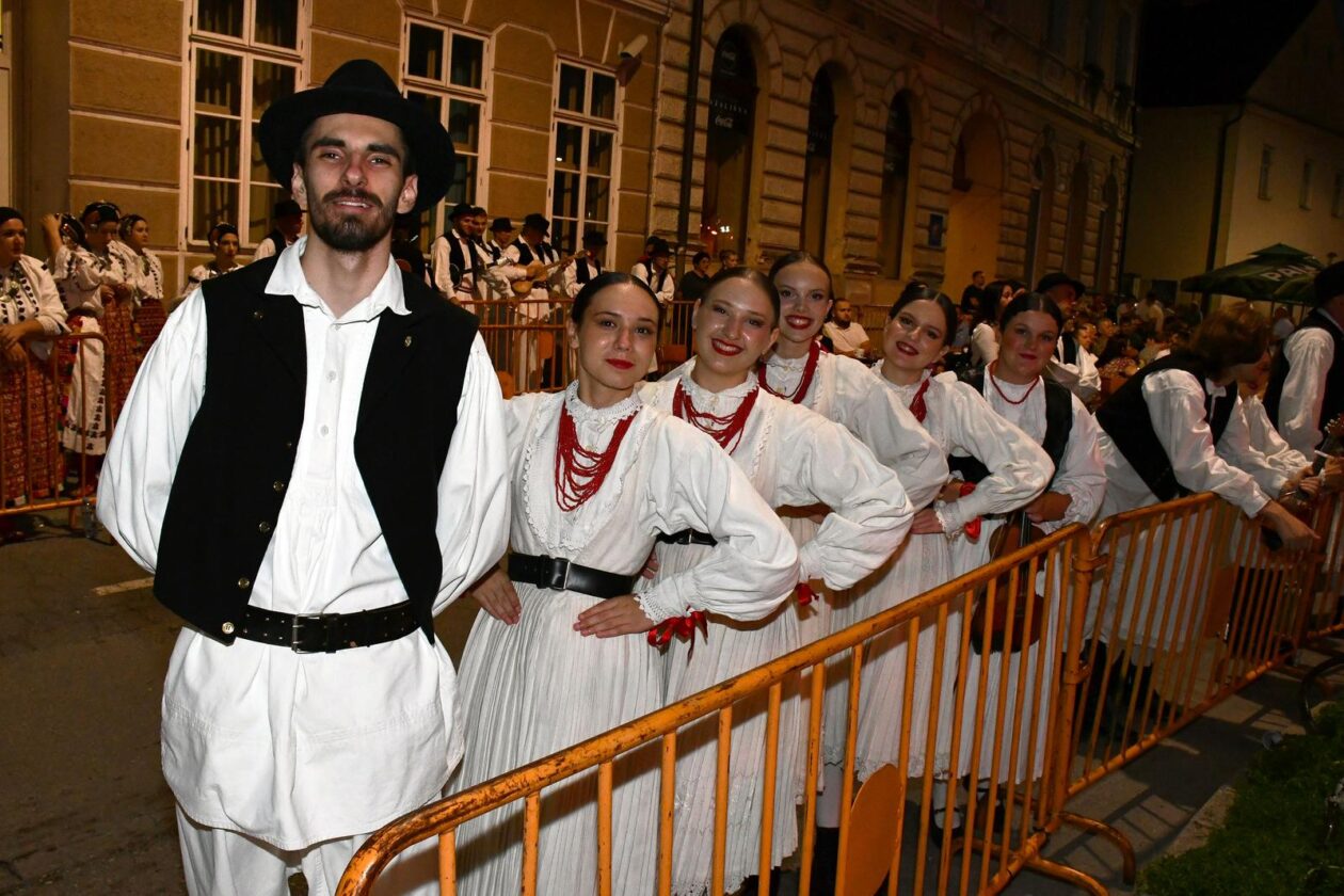 Zlatne žice Slavonije 2025. Zlatne žice Slavonije 2025.