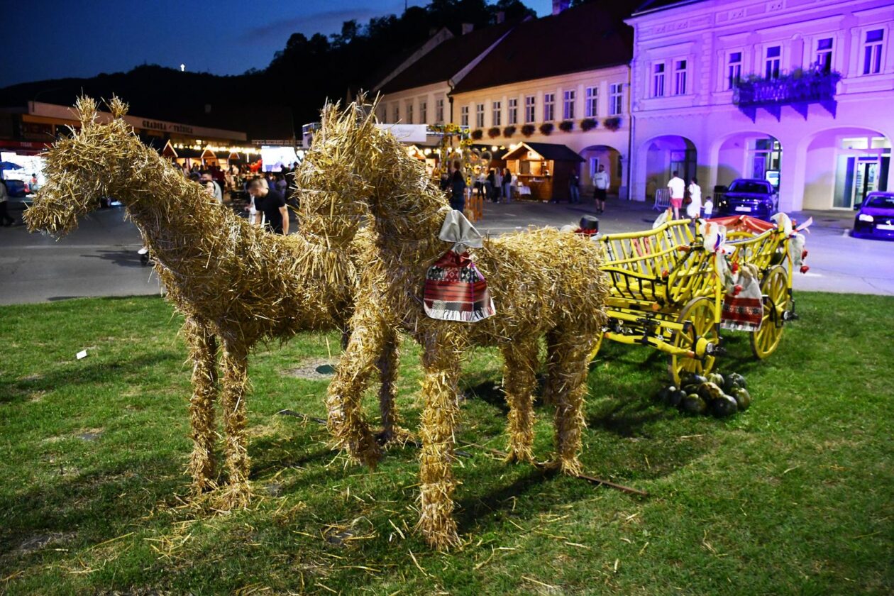 Zlatne žice Slavonije 2025. Zlatne žice Slavonije 2025.
