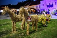Zlatne žice Slavonije 2025. Zlatne žice Slavonije 2025.