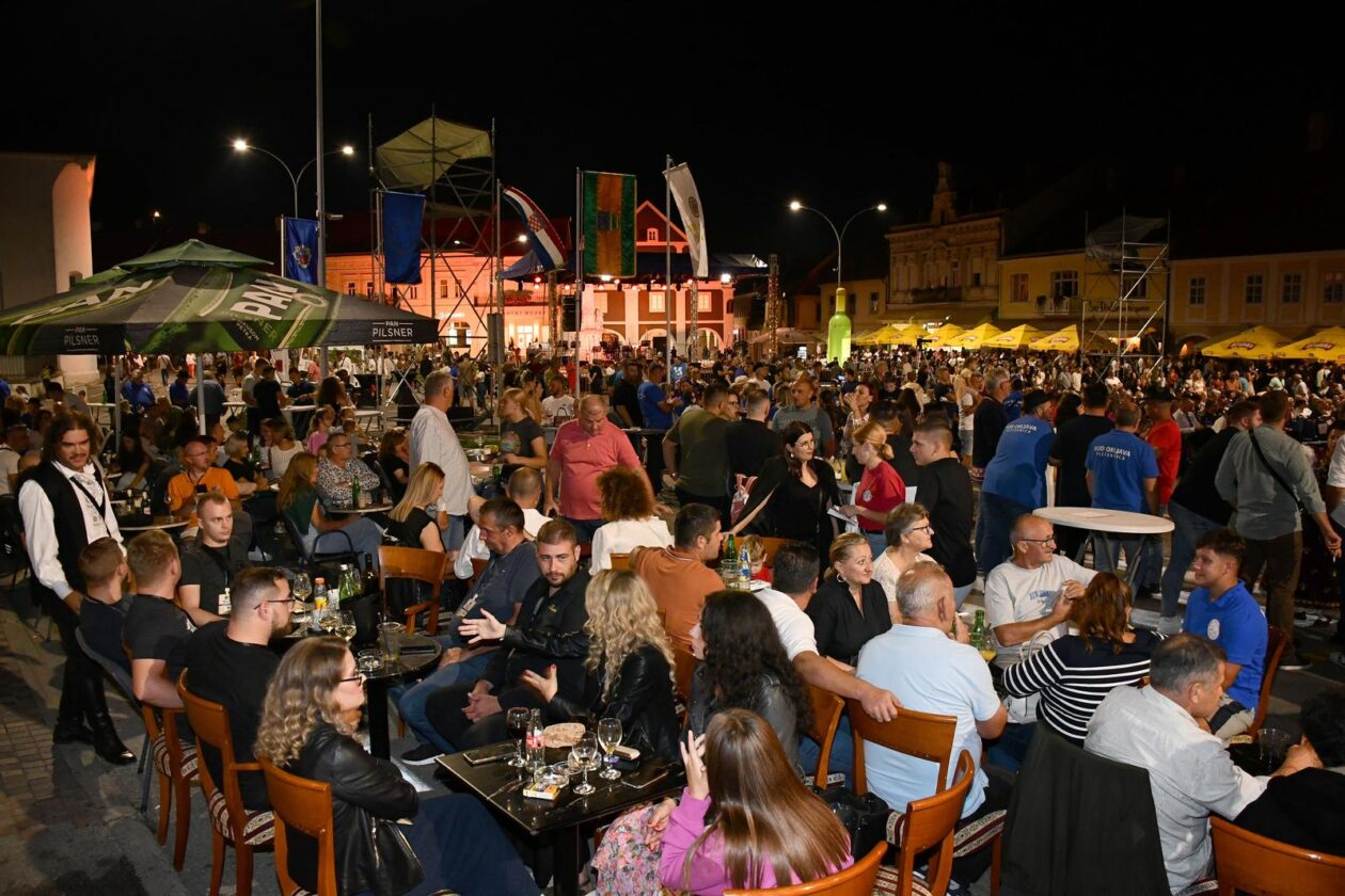 Zlatne žice Slavonije 2025. Zlatne žice Slavonije 2025.