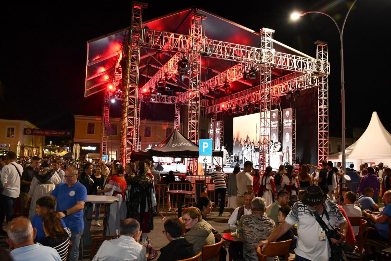 Zlatne žice Slavonije 2025. Zlatne žice Slavonije 2025.